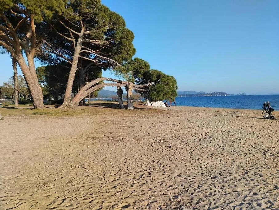Apartment Appartement 2 Pieces La Londe-les-Maures France